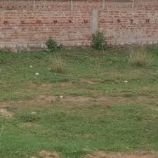 land for sale in Brahmpura-ranipur