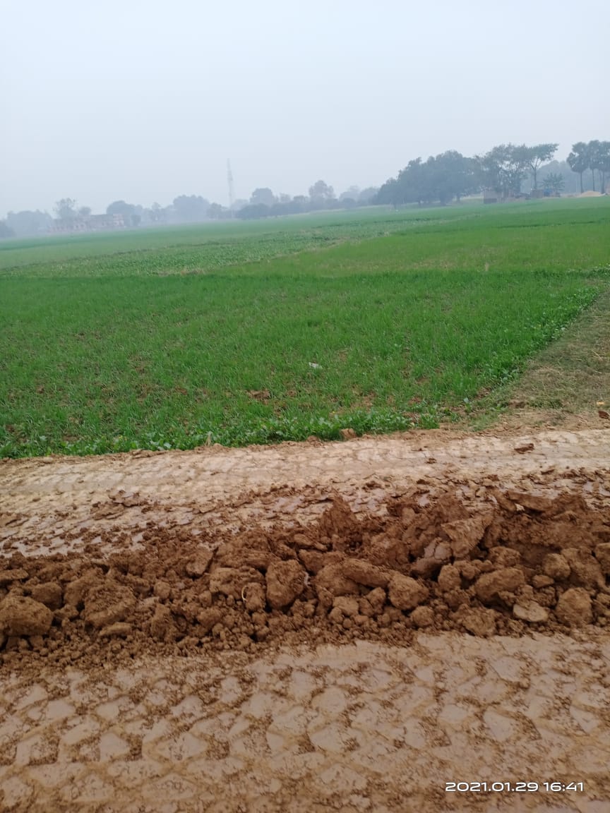 Land for Investment in Patna