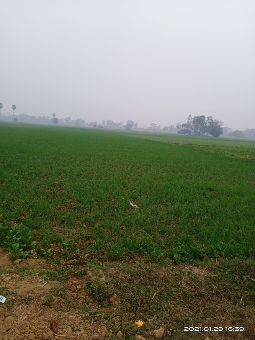 LAND FOR INVESTMENT IN PATNA