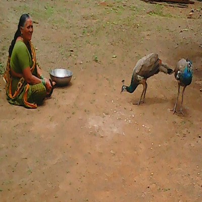 Image description